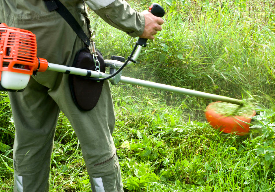 Bando Municipal Limpieza de Malezas
