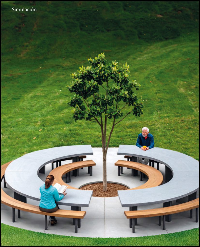 Concurso de Ideas «Roble Gordo»  –  Resultado Final