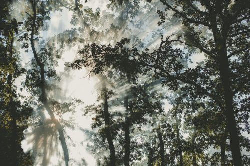 ©pm-parrilla-la-mata-la-nava-2014-004-